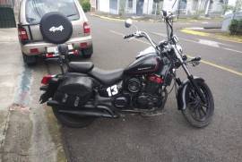 Serpento, coyote, 2016 Serpento, coyote, 2016