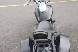 Serpento, coyote, 2016 Serpento, coyote, 2016