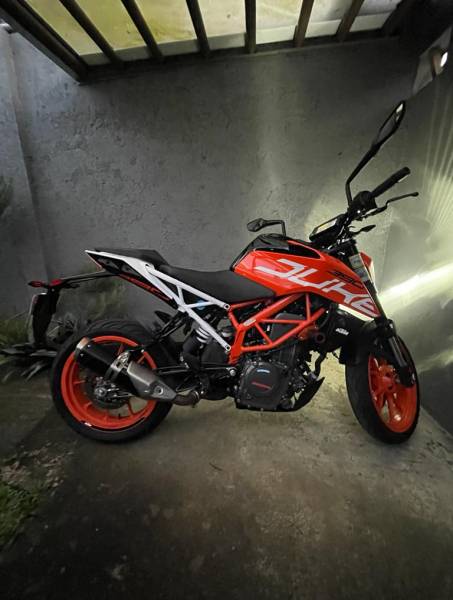 KTM, Duke, 2019