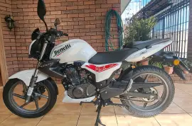 Benelli, TNt 15, 2024