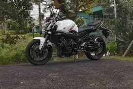 Yamaha, Fz1, 2014