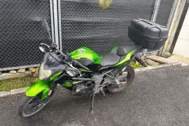 Kawasaki, Z 250 SL, 2014