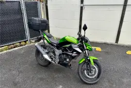 Kawasaki, Z 250 SL, 2014