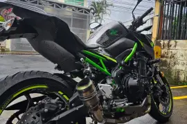 Kawasaki, Z900, 2020