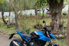 Suzuki, GSX-8S, 2023