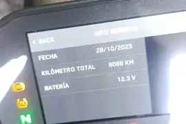 KTM, DUKE 890, 2020 KTM, DUKE 890, 2020