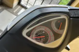 Freedom, Wing, 2024 Freedom, Wing, 2024