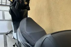 Freedom, Wing, 2024 Freedom, Wing, 2024