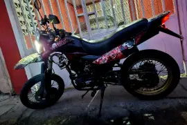 Freedom, Hercules 3, 2016