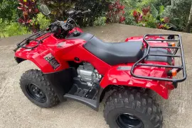 Honda, TRX250TE, 2025 Honda, TRX250TE, 2025
