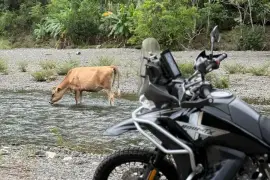 CFMoto, 800 MTX, 2025