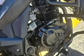 Freedom, RX1, 2019 Freedom, RX1, 2019