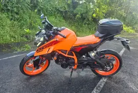 KTM, Duke 390, 2024 KTM, Duke 390, 2024