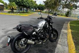 Benelli, Leoncino 500, 2019