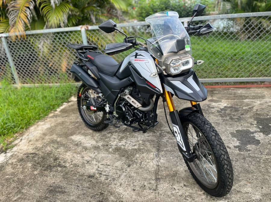 Serpento, Viper , 2022