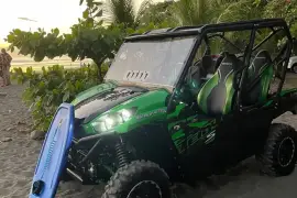 Kawasaki,  TERYX4™ S LE , 2022