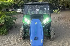 Kawasaki,  TERYX4™ S LE , 2022