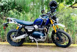 Triumph, Scrambler XE , 2019