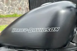 Harley-Davidson, Iron , 2011