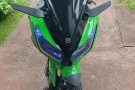 Kawasaki, Ninja 300 Special Edition, 2014