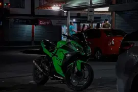 Kawasaki, Ninja 300 Special Edition, 2014