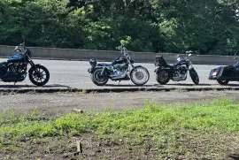 Harley-Davidson, Sportster Iron, 2019