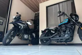 Harley-Davidson, Sportster Iron, 2019