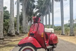 - Other Brands -, LML, 2010