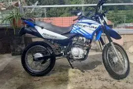 Freedom, Hercules , 2024