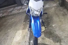 Freedom, Hercules , 2024