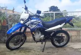 Freedom, Hercules , 2024