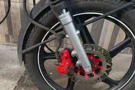 Serpento, Taypan , 2022 Serpento, Taypan , 2022