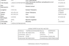 Serpento, Taypan , 2022 Serpento, Taypan , 2022