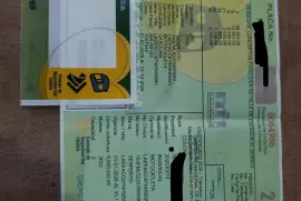 Serpento, Taypan , 2022 Serpento, Taypan , 2022