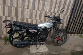 Serpento, Taypan , 2022 Serpento, Taypan , 2022