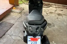 Freedom, Wing 150, 2022 Freedom, Wing 150, 2022