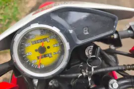 Formula, LX200, 2023