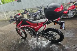 Honda, CRF, 2019