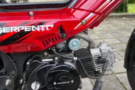 Serpento, Bravo 110, 2025