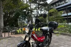 Serpento, Bravo 110, 2025